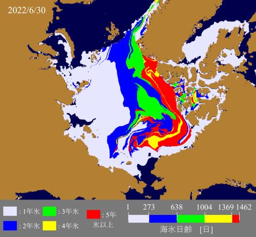 海氷年齢分布